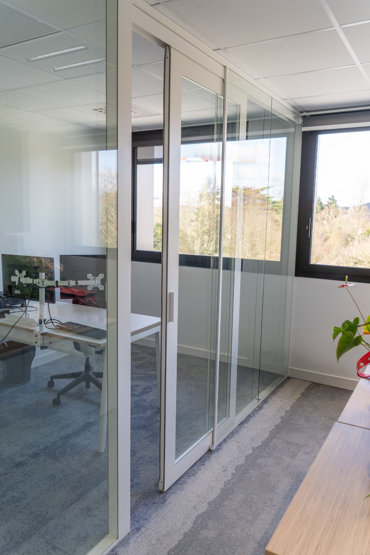 Porte intérieur vitrée